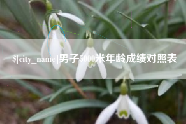 甘肃男子5000米年龄成绩对照表