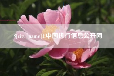 甘肃1.中国执行信息公开网