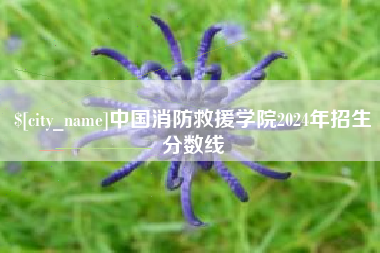 甘肃中国消防救援学院2024年招生分数线