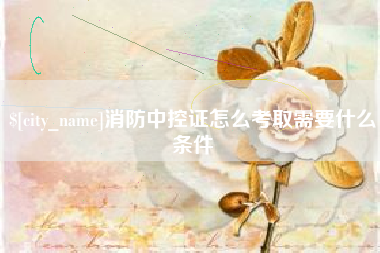 甘肃消防中控证怎么考取需要什么条件