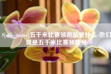 甘肃五千米比赛领跑员是什么-他们就是五千米比赛领跑员