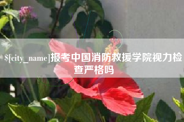 甘肃报考中国消防救援学院视力检查严格吗
