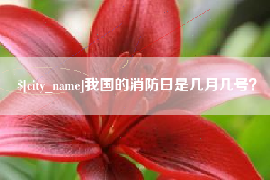 甘肃我国的消防日是几月几号？