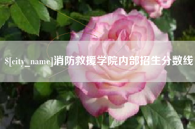 甘肃消防救援学院内部招生分数线