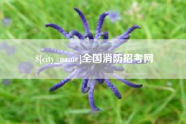 甘肃全国消防招考网