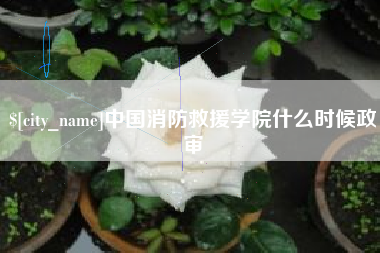 甘肃中国消防救援学院什么时候政审