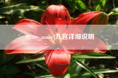 甘肃九宫详细说明
