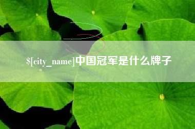 甘肃中国冠军是什么牌子