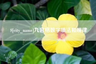 甘肃九宫格数字填法和规律