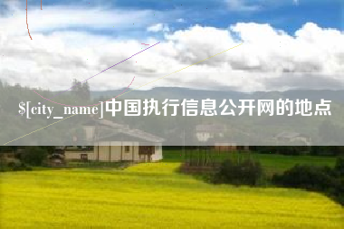 甘肃中国执行信息公开网的地点