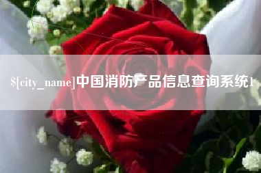 甘肃中国消防产品信息查询系统1