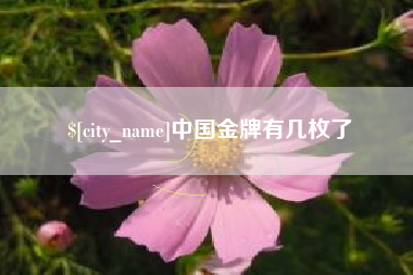 甘肃中国金牌有几枚了
