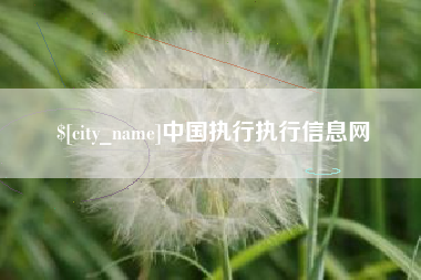 甘肃中国执行执行信息网