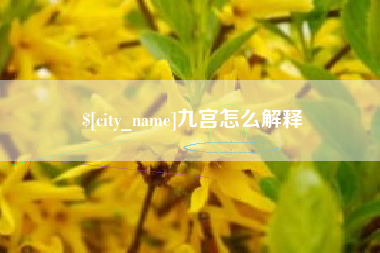甘肃九宫怎么解释