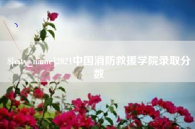 甘肃2021中国消防救援学院录取分数