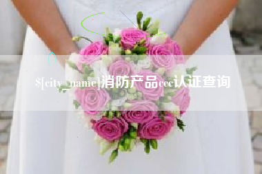 甘肃消防产品ccc认证查询
