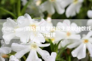甘肃消防救援学院招生录取分数线2020福建