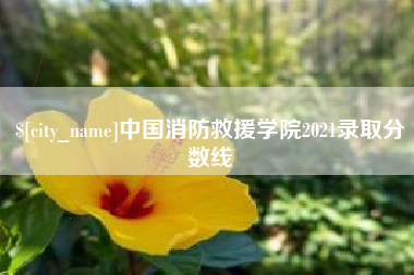 甘肃中国消防救援学院2021录取分数线