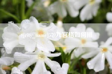 甘肃579九宫格如何排