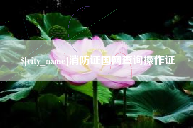 甘肃消防证国网查询操作证