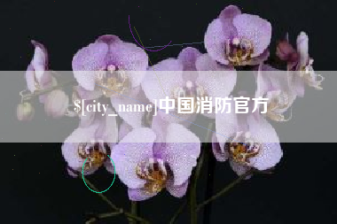 甘肃中国消防官方