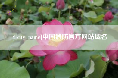 甘肃中国消防官方网站域名