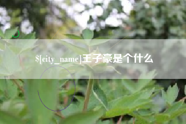 甘肃王子豪是个什么