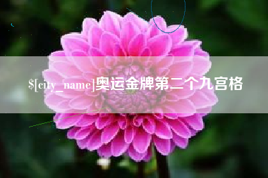甘肃奥运金牌第二个九宫格