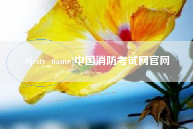 甘肃中国消防考试网官网