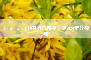 甘肃中国消防救援学院2020年分数线