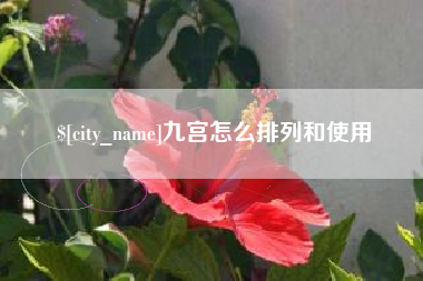甘肃九宫怎么排列和使用