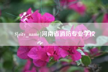 甘肃河南省消防专业学校