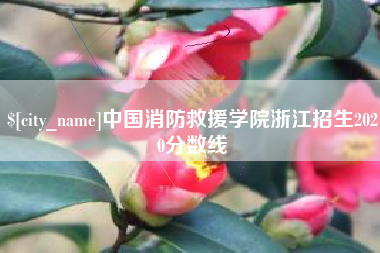 甘肃中国消防救援学院浙江招生2020分数线