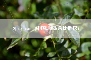 甘肃中国地图(含比例尺)