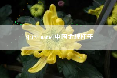 甘肃中国金牌样子