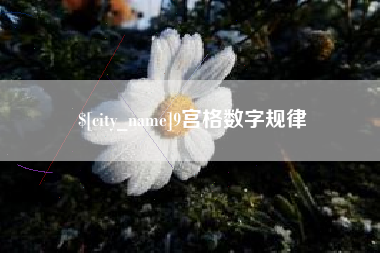 甘肃9宫格数字规律