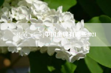 甘肃中国金牌有哪些2021