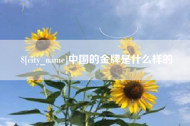 甘肃中国的金牌是什么样的