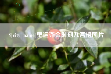 甘肃奥运夺金时刻九宫格图片