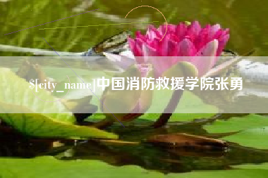 甘肃中国消防救援学院张勇