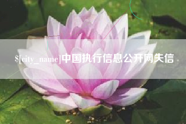 甘肃中国执行信息公开网失信