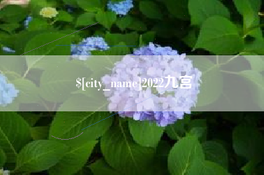 甘肃2022九宫
