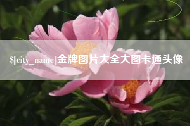 甘肃金牌图片大全大图卡通头像
