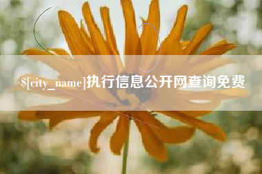 甘肃执行信息公开网查询免费