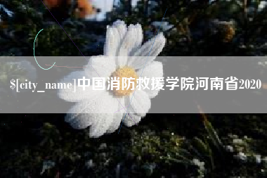 甘肃中国消防救援学院河南省2020